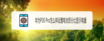 华为P30怎么显示电池电量百分比 华为P30怎么显示电池电量百分比
