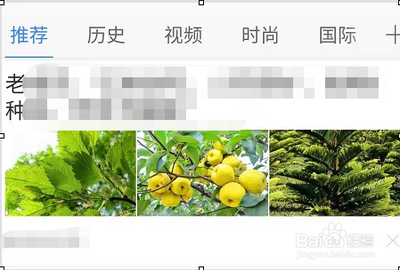 华为手机如何将浏览器器设置为电脑版