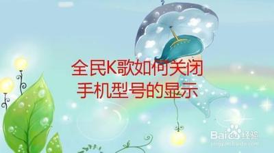 全名K歌怎么关闭显示手机型号