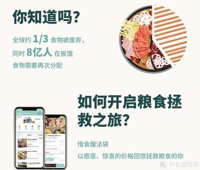 怎么查看惜食魔法袋介绍详情