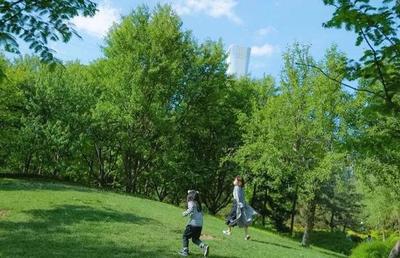 出门玩带些什么手机软件好