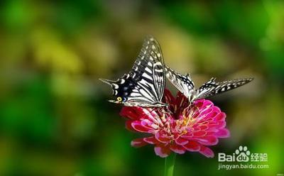 如何让一个女人爱上你