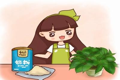 过期的东西先别扔，还有其它用途