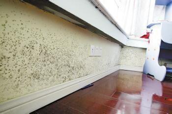 梅雨季节的墙面问题处理方法