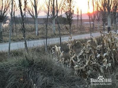 怎样与孩子增进情感 怎样与孩子增进情感