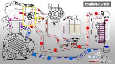 爱车1号：无水冷却液怎样您的保护发动机？