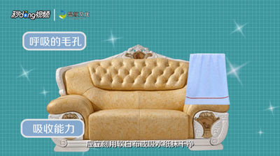 如何清洗沙发? 如何清洗沙发?