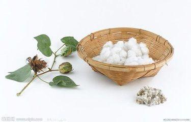 皮包有污渍，脏，小处理方法