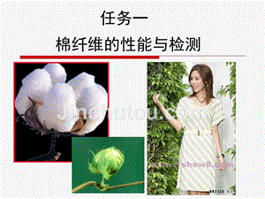 棉纤维的特性