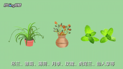 卫生间的臭味怎样去除 卫生间的臭味怎样去除