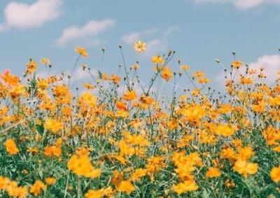 为什么你找不到男朋友？