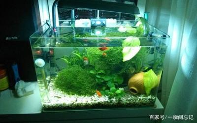 如何清洗浴缸？