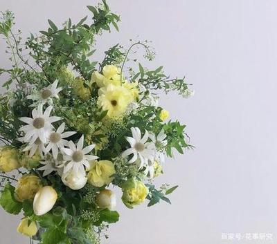 插花色调调和的原理