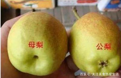 橘子分公母,教你一招,保你挑出最甜的那只 橘子分公母,教你一招,保你挑出最甜的那只