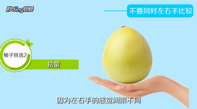 怎样挑选柚子好吃 挑选柚子的方法 怎样挑选柚子好吃 挑选柚子的方法