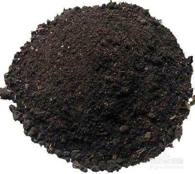 多肉种植常用土大全（一）