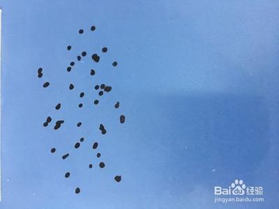 如何一秒清除马克笔印？