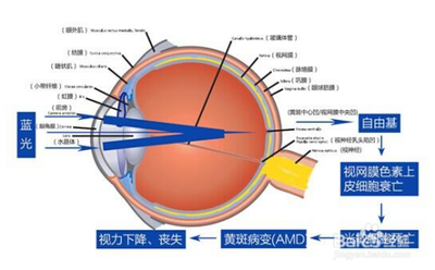 为什么蓝光会对孩子的视力造成伤害