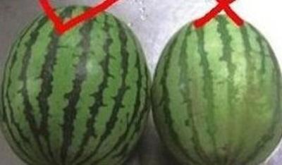 如何挑选西瓜？夏季如何选西瓜？