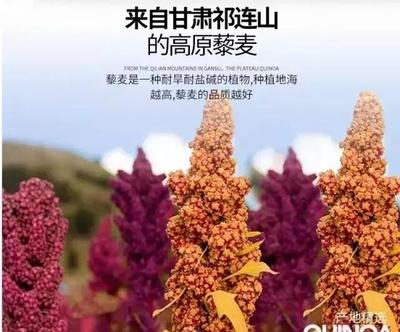 藜麦的常规食用方法 藜麦的常规食用方法