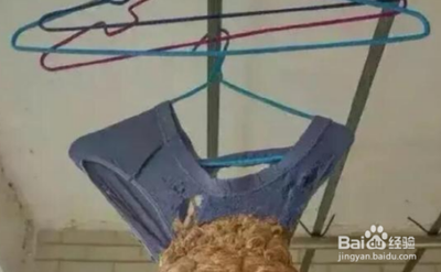 住出租房，晾晒的衣物掉到楼下窗顶怎么检回来？