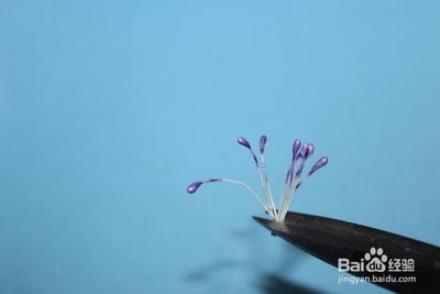 丝带花的做法&mdash;&mdash;烧花组合