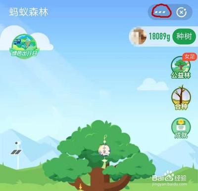 一招教你彻底关闭支付宝中的蚂蚁森林应用