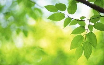 别人批评你怎么办