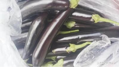 买茄子注意什么？