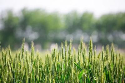 度过盛夏，需要注意的生活禁忌有哪些？