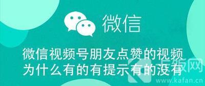 微信视频号为什么我点赞的人家看不到 微信视频号点赞显示介绍 微信视频号为什么我点赞的人家看不到 微信视频号点赞显示介绍