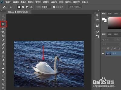 如何删除Photoshop选区中的部分选区？