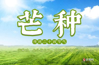 芒种节气的养生食谱