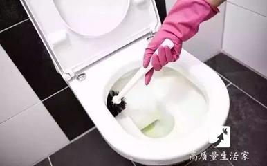 #过年#过年如何清洁厕所