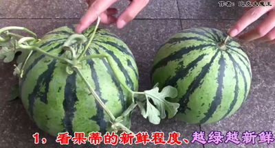 怎样挑选西瓜才好吃