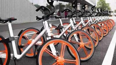 支付宝app怎么免费领取共享单车月卡? 支付宝ofo月卡的领取方法