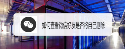 怎么查看微信好友有没有删除自己
