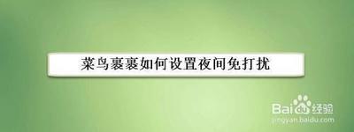 菜鸟裹裹夜间免打扰怎么开