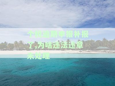 个人所得税怎么补交 个人所得税怎么补交