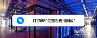 怎么看钉钉群直播回放