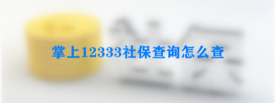 掌上12333如何查询社保认证是否成功
