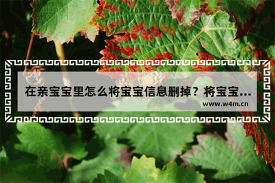 亲宝宝app如何删除宝宝信息 亲宝宝app删除宝宝信息的方法 亲宝宝app如何删除宝宝信息 亲宝宝app删除宝宝信息的方法
