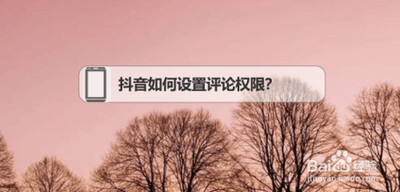 抖音如何设置评论权限