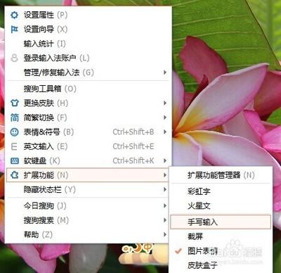 如何在电脑上用搜狗输入法打出生僻字?