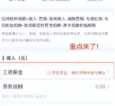 个人所得税APP可以查工资吗