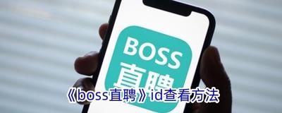 boss直聘id怎么看 boss直聘id查看的方法 boss直聘id怎么看 boss直聘id查看的方法