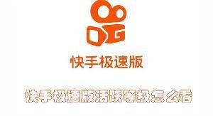 快手极速版活跃等级怎么看 快手极速版查看活跃等级的教程 快手极速版活跃等级怎么看 快手极速版查看活跃等级的教程