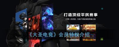 大圣电竞会员多少钱