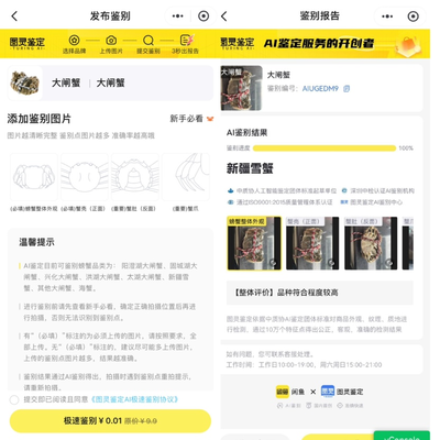 闲鱼ai识别发布在哪里 闲鱼ai识别发布位置介绍