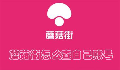 蘑菇街id号在哪里看 查看蘑菇街id号的方法 蘑菇街id号在哪里看 查看蘑菇街id号的方法